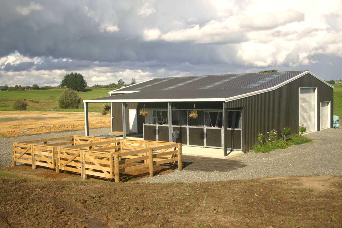 shed accessories nz doors windows fittings Shed accessories including doors, windows, and clear roof sheets